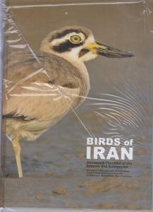 BIRDS OF IRAN  \پرند ه های  ایران