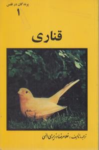 قناری