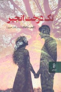 تک درخت انجیر