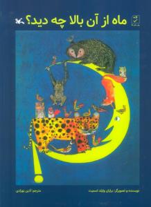 ماه از آن بالا چه دید