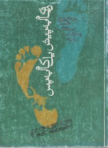 دوگام به پیش یک گام به پس(کارکرده)